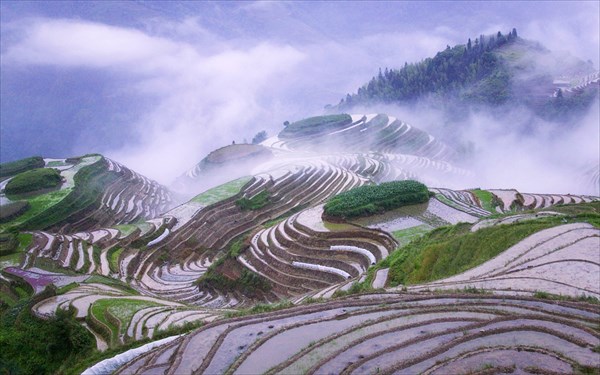 ??????,?? (Rice terraces in early morning mist, Guangxi Province